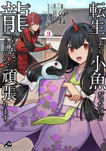 転生したら小魚だったけど龍になれるらしいので頑張ります 表紙