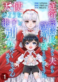 近衛総隊長である夫から離婚を望まれていますが、天使のような継子と別れたくありません / 1話 表紙