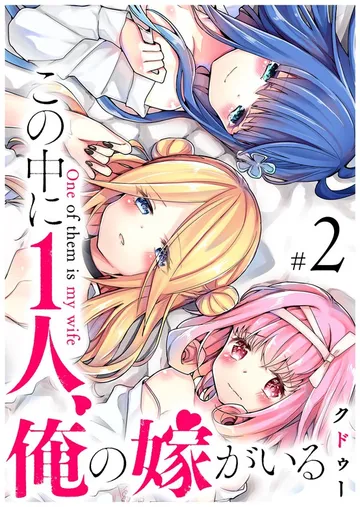 この中に1人、俺の嫁がいる 表紙