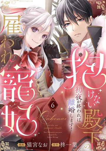 抱けない殿下の雇われ寵妃 初夜が終われば離婚します！ 表紙