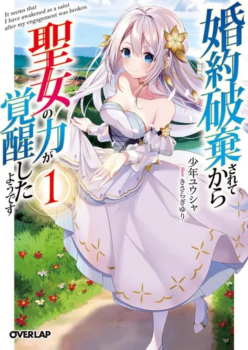 婚約破棄されてから聖女の力が覚醒したようです 表紙