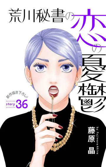 Love Silky 荒川秘書の恋の憂鬱 表紙