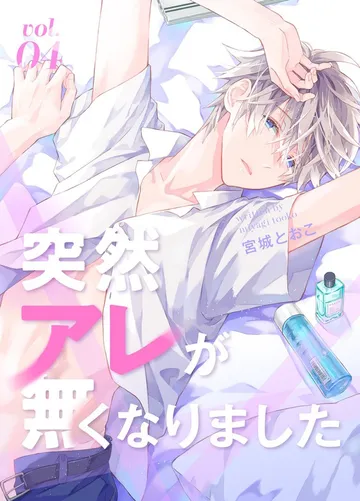 突然アレが無くなりました 表紙