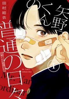 矢野くんの普通の日々 表紙