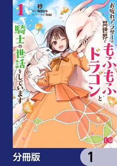 お疲れアラサーは異世界でもふもふドラゴンと騎士の世話をしています 表紙