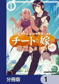 異世界でスキルを解体したらチートな嫁が増殖しました 概念交差のストラクチャー 表紙