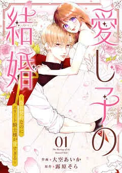 愛し子の結婚～偽装契約なのにエリート騎士様が甘すぎる～ 表紙