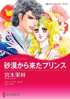 砂漠から来たプリンス【分冊】 表紙