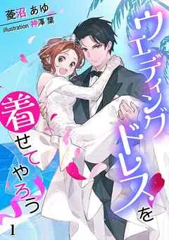 ウエディングドレスを着せてやろう 表紙