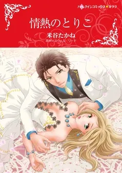 情熱のとりこ【分冊】 表紙