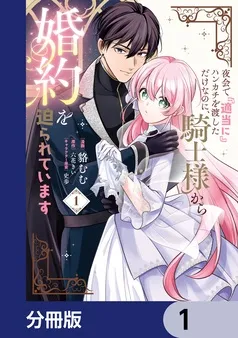 夜会で『適当に』ハンカチを渡しただけなのに、騎士様から婚約を迫られています 表紙