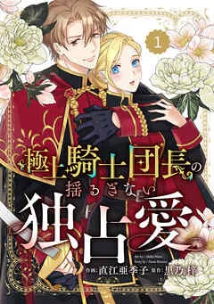 Berry’sFantasy極上騎士団長の揺るぎない独占愛 表紙