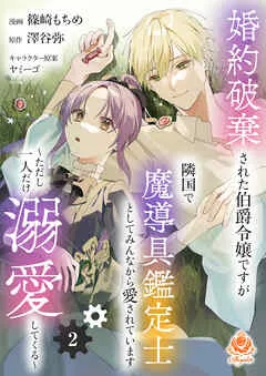 婚約破棄された伯爵令嬢ですが隣国で魔導具鑑定士としてみんなから愛されています～ただし一人だけ溺愛してくる～【 表紙