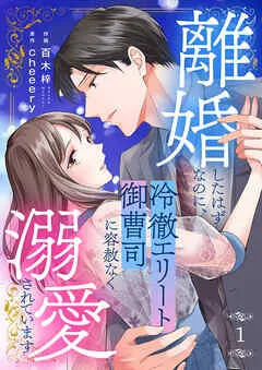 離婚したはずなのに、冷徹エリート御曹司に容赦なく溺愛されています 表紙