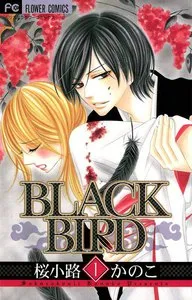 BLACK BIRD 表紙