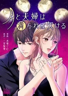 月と夫婦は満ちれば欠ける 表紙