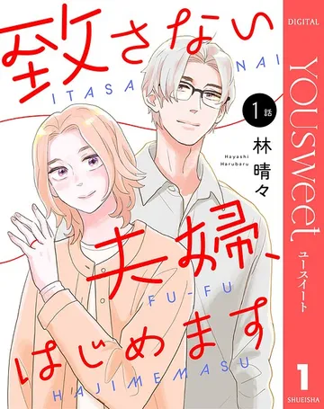 致さない夫婦、はじめます 表紙