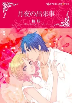 月夜の出来事【分冊】 表紙