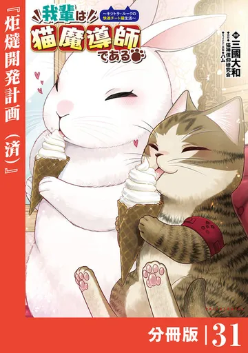 我輩は猫魔導師である～キジトラ・ルークの快適チート猫生活～ 表紙