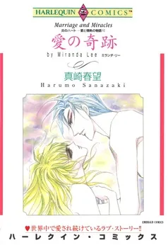 愛の奇跡〈炎のハート－愛と情熱の物語Ⅵ〉【分冊】 表紙
