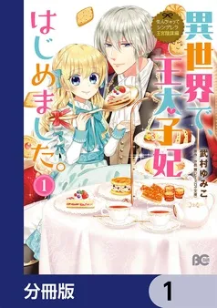 なんちゃってシンデレラ 王宮陰謀編 表紙