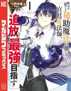 味方が弱すぎて補助魔法に徹していた宮廷魔法師、追放されて最強を目指す 表紙