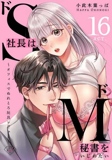 【ラブチーク】ドS社長はドM秘書をいじめたい～オフィスでぬれとろ玩具レビュー～ 表紙