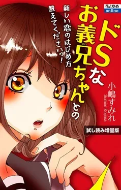 ドＳなお義兄ちゃんとの新しい恋のはじめ方教えてくださいっ！ 表紙