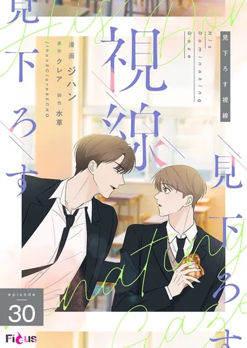 見下ろす視線 表紙