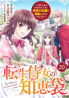 Berry's Fantasy 転生侍女の知恵袋~“自称”人並み会社員でしたが、前世の知識で華麗にお仕えいたします!~ 表紙