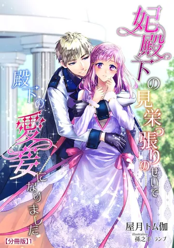 妃殿下の見栄っ張りのせいで殿下の愛妾になりました 表紙