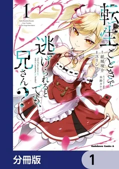 転生ごときで逃げられるとでも、兄さん？