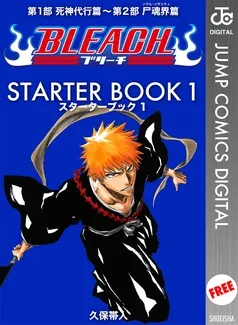 BLEACH─ブリーチ─ STARTER BOOK 表紙
