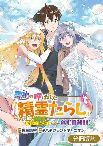 無能と呼ばれた『精霊たらし』～実は異能で、精霊界では伝説的ヒーローでした～＠COMIC 表紙