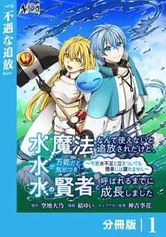水魔法なんて使えないと追放されたけど、水が万能だと気がつき水の賢者と呼ばれるまでに成長しました～今更水不足と泣きついても簡単には譲れません～ 表紙