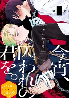 今宵、囚われの君を。分冊版 表紙