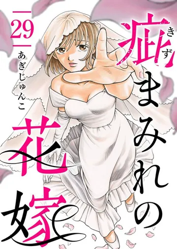 疵まみれの花嫁 表紙