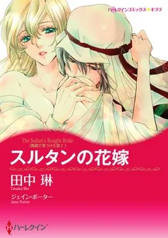 スルタンの花嫁〈異国で見つけた恋 Ｉ〉【分冊】 表紙