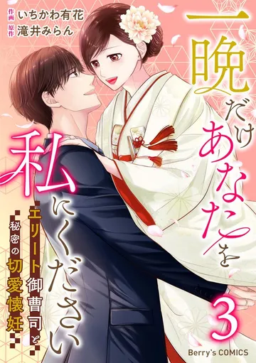 一晩だけあなたを私にください～エリート御曹司と秘密の切愛懐妊～ 表紙