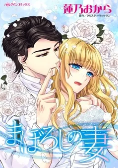 まぼろしの妻【7分冊】 表紙