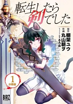 転生したら剣でした 表紙