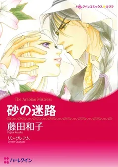 砂の迷路【分冊】 表紙