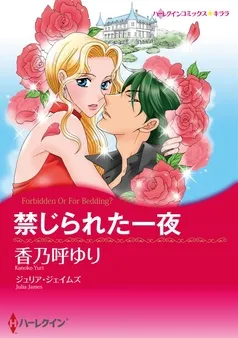 禁じられた一夜【分冊】 表紙