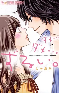 ダメ…ダメ…ずるい。 表紙