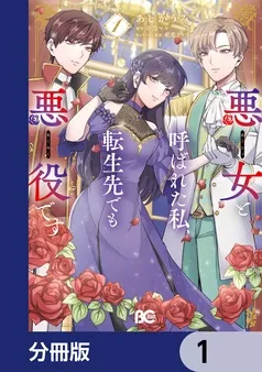 悪女と呼ばれた私、転生先でも悪役です 表紙