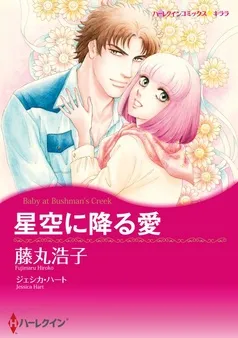 星空に降る愛【分冊】 表紙