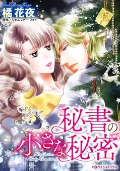 秘書の小さな秘密【分冊】 表紙