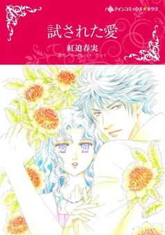 試された愛【分冊】 表紙