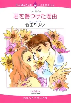 君を傷つけた理由【分冊】 表紙