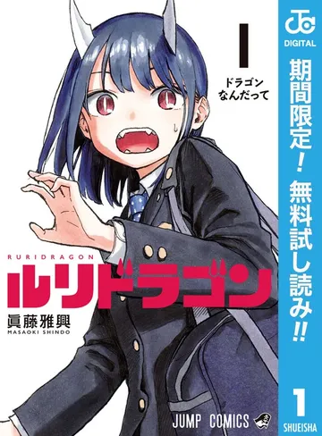 ルリドラゴン 表紙